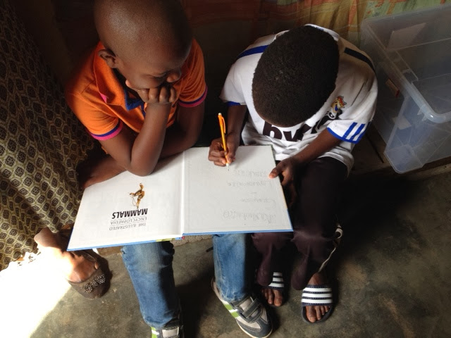 Two boys studying an illustrated book together