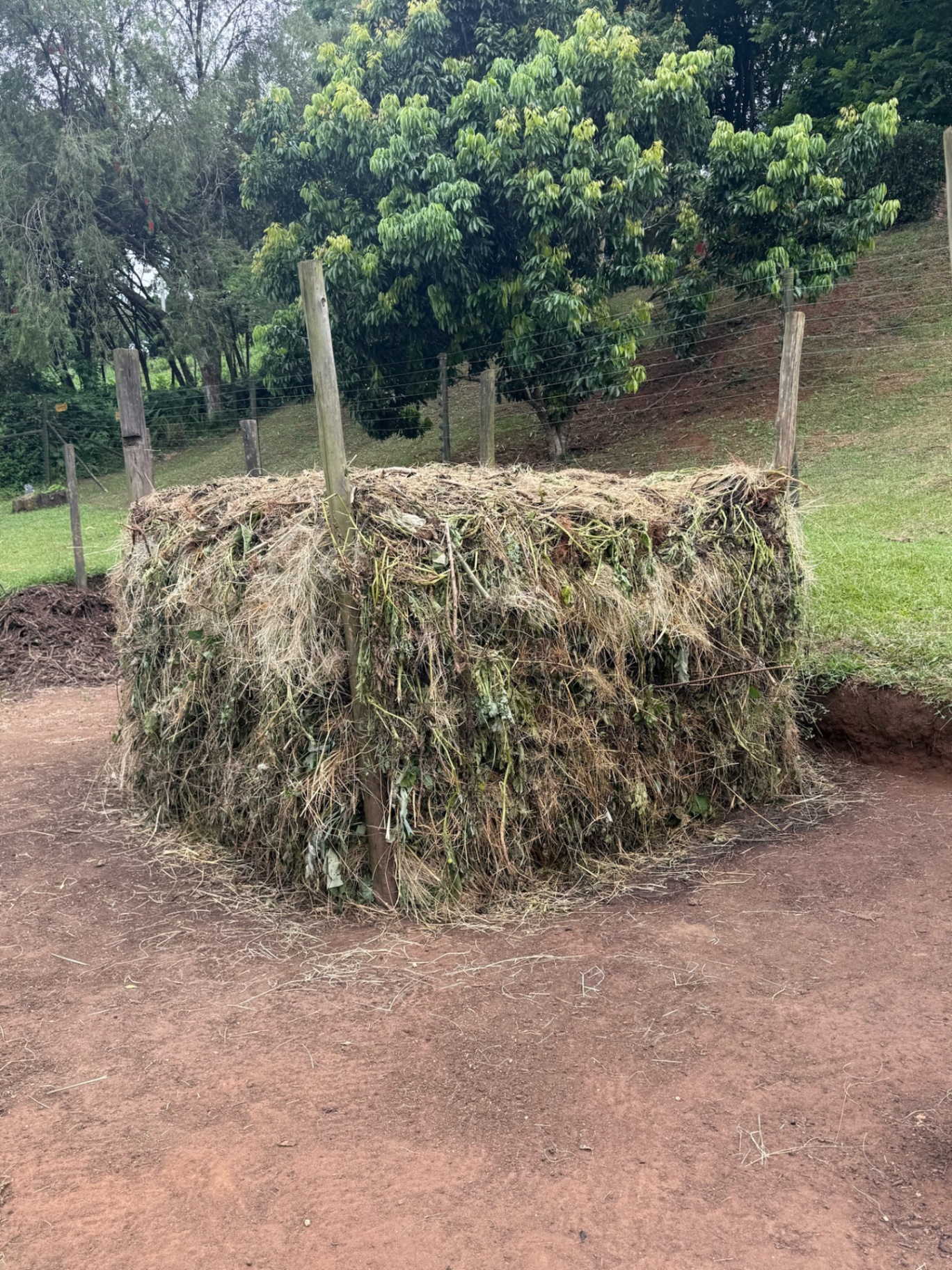A large compost structure built from garden materials to enrich future planting beds